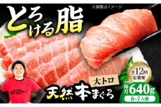 【全12回定期便】極上！たね熟天然本まぐろ大トロ(640g) 天然 マグロ 鮪 大トロ 刺身 魚 魚介 魚介類 海鮮丼 本マグロ 本まぐろ 本鮪 赤身 大トロ 冷凍 お刺身 お寿司 大阪府高槻市/本まぐろ直売所 [AOCE027]