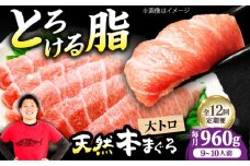 【全12回定期便】極上！たね熟天然本まぐろ大トロ(960g) 天然 マグロ 鮪 大トロ 刺身 魚 魚介 魚介類 海鮮丼 本マグロ 本まぐろ 本鮪 赤身 大トロ 冷凍 お刺身 お寿司 大阪府高槻市/本まぐろ直売所 [AOCE030]