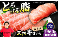 【全6回定期便】極上！たね熟天然本まぐろ大トロ(960g) 天然 マグロ 鮪 大トロ 刺身 魚 魚介 魚介類 海鮮丼 本マグロ 本まぐろ 本鮪 赤身 大トロ 冷凍 お刺身 お寿司 大阪府高槻市/本まぐろ直売所 [AOCE029]