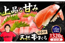 【全6回定期便】極上！たね熟天然本まぐろ中トロ(320g) 天然 マグロ 鮪 中トロ 刺身 魚 魚介 魚介類 海鮮丼 本マグロ 本まぐろ 本鮪 中とろ 中トロ 冷凍 お刺身 お寿司 大阪府高槻市/本まぐろ直売所 [AOCE032]