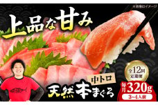 【全12回定期便】極上！たね熟天然本まぐろ中トロ(320g) 天然 マグロ 鮪 中トロ 刺身 魚 魚介 魚介類 海鮮丼 本マグロ 本まぐろ 本鮪 中とろ 中トロ 冷凍 お刺身 お寿司 大阪府高槻市/本まぐろ直売所 [AOCE033]