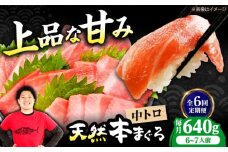 【全6回定期便】極上！たね熟天然本まぐろ中トロ(640g) 天然 マグロ 鮪 中トロ 刺身 魚 魚介 魚介類 海鮮丼 本マグロ 本まぐろ 本鮪 中とろ 中トロ 冷凍 お刺身 お寿司 大阪府高槻市/本まぐろ直売所 [AOCE035]