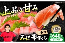 【全12回定期便】極上！たね熟天然本まぐろ中トロ(640g) 天然 マグロ 鮪 中トロ 刺身 魚 魚介 魚介類 海鮮丼 本マグロ 本まぐろ 本鮪 中とろ 中トロ 冷凍 お刺身 お寿司 大阪府高槻市/本まぐろ直売所 [AOCE036]