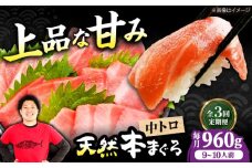 【全3回定期便】極上！たね熟天然本まぐろ中トロ(960g) 天然 マグロ 鮪 中トロ 刺身 魚 魚介 魚介類 海鮮丼 本マグロ 本まぐろ 本鮪 中とろ 中トロ 冷凍 お刺身 お寿司 大阪府高槻市/本まぐろ直売所 [AOCE037]