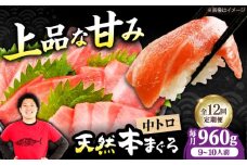 【全12回定期便】極上！たね熟天然本まぐろ中トロ(960g) 天然 マグロ 鮪 中トロ 刺身 魚 魚介 魚介類 海鮮丼 本マグロ 本まぐろ 本鮪 中とろ 中トロ 冷凍 お刺身 お寿司 大阪府高槻市/本まぐろ直売所 [AOCE039]