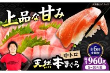 【全6回定期便】極上！たね熟天然本まぐろ中トロ(960g) 天然 マグロ 鮪 中トロ 刺身 魚 魚介 魚介類 海鮮丼 本マグロ 本まぐろ 本鮪 中とろ 中トロ 冷凍 お刺身 お寿司 大阪府高槻市/本まぐろ直売所 [AOCE038]