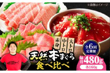 【全6回定期便】極上！たね熟天然本まぐろ赤身＆中トロ＆大トロセット(各160g 計480g) 魚介類 海鮮丼 本マグロ 本まぐろ 中トロ 大トロ 赤身 冷凍 お刺身 お寿司 大阪府高槻市/本まぐろ直売所 [AOCE044]