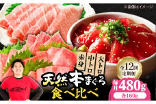【全12回定期便】極上！たね熟天然本まぐろ赤身＆中トロ＆大トロセット(各160g 計480g) 魚介類 海鮮丼 本マグロ 本まぐろ 中トロ 大トロ 赤身 冷凍 お刺身 お寿司 大阪府高槻市/本まぐろ直売所 [AOCE045]