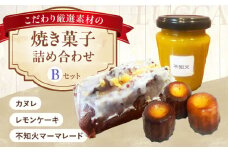 LUCCA 焼き菓子セットB ギフト スイーツ おやつ 菓子 おかし 手作り 詰め合わせ ケーキ お菓子 大阪府高槻市/LUCCA [AOEB002]