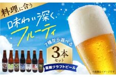 高槻クラフトビール SHADOW‐821 American black ale 3本セット 詰め合わせ お酒 ビール クラフトビール アソート ビール クラフトビール 酒 お酒 アルコール 飲み比べ セット 詰め合わせ 大阪府高槻市/株式会社C-style [AOCI004]