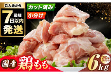 【スピード発送】【選べる発送月】 国産若鳥　鶏もも肉 6kg (300g×20パック) 冷凍 小分け モモ肉 鶏肉 大容量 大阪府高槻市/株式会社西日本児湯フーズ [AOCA004]