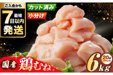 【スピード発送】【選べる発送月】国産若鳥　鶏むね肉6kg(300g×20パック) 冷凍 小分け むね肉 鶏むね肉 鶏ムネ肉 ムネ肉 鶏胸肉 胸肉 鶏肉 大容量 大阪府高槻市/株式会社西日本児湯フーズ [AOCA007]
