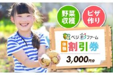 ベジ彩ファーム　割引チケット 3,000円分 体験 国内 野菜収穫 ピザづくり 親子体験 大阪府高槻市/ベジ彩ファーム [AOEJ001]