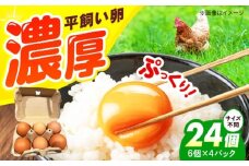 平飼い卵 24個セット たまご 卵 鶏卵 玉子 平飼い タマゴ 新鮮 大阪府高槻市/ベジ彩ファーム [AOEJ003]