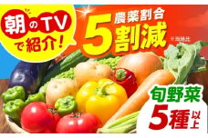朝のTV番組で紹介された！旬のお野菜セット 詰合せ 詰め合わせ 新鮮 産地直送 おまかせ やさい 野菜セット 大阪府高槻市/ベジ彩ファーム [AOEJ004]
