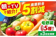【全3回定期便】 米ぬかで育てた！旬のお野菜セット 詰合せ 詰め合わせ 新鮮 産地直送 おまかせ やさい 野菜セット 大阪府高槻市/ベジ彩ファーム [AOEJ005]
