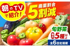 【全6回定期便】 米ぬかで育てた！旬のお野菜セット 詰合せ 詰め合わせ 新鮮 産地直送 おまかせ やさい 野菜セット 大阪府高槻市/ベジ彩ファーム [AOEJ006]