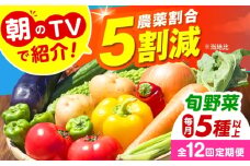 【全12回定期便】 米ぬかで育てた！旬のお野菜セット 詰合せ 詰め合わせ 新鮮 産地直送 おまかせ やさい 野菜セット 大阪府高槻市/ベジ彩ファーム [AOEJ007]