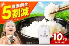 令和7年産 新米 キヌヒカリ 10キロ きぬひかり 新米 米 お米 白米 コメ おこめ 10kg 大阪府高槻市/ベジ彩ファーム [AOEJ010]