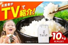 令和7年産 新米 キヌヒカリ 10キロ きぬひかり 新米 米 お米 白米 コメ おこめ 10kg 大阪府高槻市/ベジ彩ファーム [AOEJ010]
