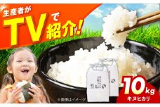 令和7年産 新米 キヌヒカリ 10キロ きぬひかり 新米 米 お米 白米 コメ おこめ 10kg 大阪府高槻市/ベジ彩ファーム [AOEJ010]