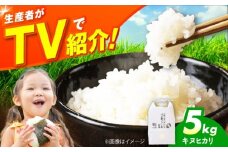 令和7年産 新米 キヌヒカリ 5キロ きぬひかり 米 お米 白米 新米 コメ おこめ 5kg 大阪府高槻市/ベジ彩ファーム [AOEJ009]