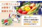 米 令和7年産 新米 キヌヒカリ きぬひかり お米 白米 コメ おこめ 10kg 5kg 人気 おすすめ 産地直送 国産 新鮮