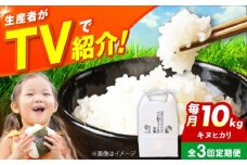 【全3回定期便】お米 10キロ 米 お米 白米 コメ おこめ 10kg 大阪府高槻市/ベジ彩ファーム [AOEJ011]