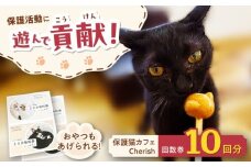 Cherish猫カフェ 回数券（10回分） 猫 ねこ ネコ 保護猫 支援 動物愛護 応援 大阪府高槻市／特定非営利活動Cherish [AODU002]