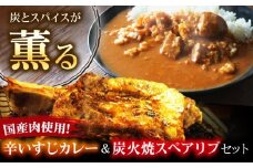 特大！炭焼きスペアリブ2本＆辛いすじカレー 冷凍 お取り寄せ グルメ 骨付き肉 温めるだけ 人気 ギフト 贈答 簡単調理 カレー カレーライス レトルト 大阪府高槻市/SCYグループ株式会社 [AOEG003]