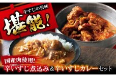 辛いすじカレー＆辛いすじ煮込みセット 温めるだけ 人気 ギフト 贈答 簡単調理 カレー カレーライス 牛筋 牛スジカレー レトルト レトルトカレー 大阪府高槻市/SCYグループ株式会社 [AOEG005]