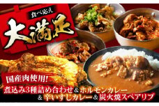 よしもと返礼品フルセット 冷凍 お取り寄せ グルメ 骨付き肉 温めるだけ 人気 ギフト 贈答 簡単 カレー カレーライス 牛スジカレー レトルト レトルトカレー 大阪府高槻市/SCYグループ株式会社 [AOEG006]