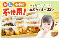 米粉クッキー 12個入り お菓子 おやつ 焼き菓子 クッキー 米粉 アレルギー グルテンフリー ダイエット 大阪府高槻市/アレルギーに配慮したパン菓子の店hana-hana [AOBF007]