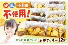 米粉クッキー 12個入り お菓子 おやつ 焼き菓子 クッキー 米粉 アレルギー グルテンフリー ダイエット 大阪府高槻市/アレルギーに配慮したパン菓子の店hana-hana [AOBF007]