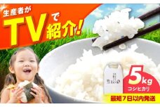 令和6年産 お米 5キロ コシヒカリ こしひかり 米 お米 白米 コメ おこめ 5kg 大阪府高槻市/ベジ彩ファーム [AOEJ012]