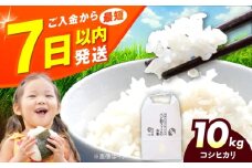 令和6年産 お米 10キロ コシヒカリ こしひかり 米 お米 白米 コメ おこめ 10kg 大阪府高槻市/ベジ彩ファーム [AOEJ013]