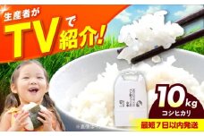 令和6年産 お米 10キロ コシヒカリ こしひかり 米 お米 白米 コメ おこめ 10kg 大阪府高槻市/ベジ彩ファーム [AOEJ013]