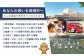 酒 お酒 日本酒 大吟醸 純米 古酒 秘蔵酒 清鶴酒造 熟成 ギフト 贈答用