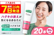 【最短7日以内発送】 GUMハグキラボ デンタルペースト 85g（メディカルハーブミント）20本 歯磨き粉 ハミガキ はみがき GUM ストック 消耗品 日用品 大容量 大阪府高槻市/サンスター [AOAD048]