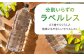 水 天然水 飲み物 ペットボトル 2000ml 2L 備蓄 ストック お水 ミネラルウォーター ミネラルウオーター 軟水 人気
