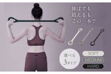 【訳あり】ハンドルチューブ ソフト ライトグレー/AMV101LG/アルインコ[AOAB152] 健康 運動 ホームジム 自宅 室内 室内運動 ダイエット ストレッチ トレーニング エクササイズ フィットネス ダイエット 筋トレ トレーニング フィットネス 器具 チューブバンド エクササイズチューブ トレーニングチューブ ゴムチューブ ハンドル付き ハンドル 男性 女性 人気 おすすめ ギフト
