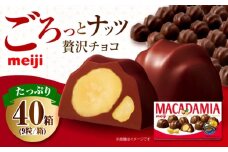 明治 マカダミアチョコレート 9粒×40箱 チョコレート 明治 チョコ ナッツ マカダミアチョコ お菓子 おやつ ストック スイーツ デザート 大容量 大阪府高槻市/株式会社 丸正高木商店 [AOAA066]