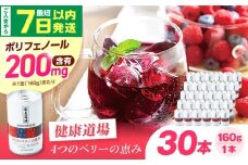 【最短7日以内発送】 健康道場 4つのベリーの恵み 160g×30本 ポリフェノール 健康飲料 飲料 果物 ブルーベリー ラズベリー ベリー 香料無添加 着色料無添加 保存料無添加 野菜ジュース まとめ買い 大阪府高槻市/サンスター [AOAD052]