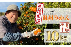 【2025年11月中旬から順次発送】季節の味覚！貝塚市産 温州みかん10kg / S M L ミックス 家庭用 蜜柑 ミカン フルーツ 果物 甘い ジューシー