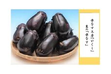 水なす工房『やくし』生の「水なす」