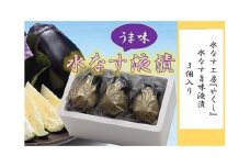 水なす工房『やくし』水なす旨味液漬３個入り