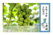 【貝塚市産】特選シャインマスカット 800g以上　2025年8月より発送