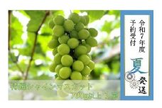 【貝塚市産】特選シャインマスカット 700g以上　2025年8月より発送