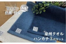 【大阪泉州タオル】Twinkle 銀の抗菌タオルハンカチ３枚セット/ 泉州タオル 清潔 肌ざわり 吸水 速乾 銀の力 抗菌 防臭 25cm角 ハンカチタオル ハンドタオル 6000円 10,000円以下 1万円以下