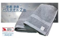 【大阪泉州タオル】Twinkle 銀の抗菌バスタオル２枚（クラウディアッシュ）/  グレー きらきら タオル 泉州タオル 日用品 速乾 綿100％ 部屋干し 抗菌 防臭 清潔